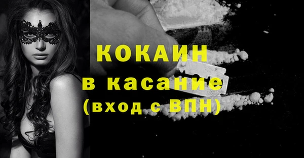 амф Бородино