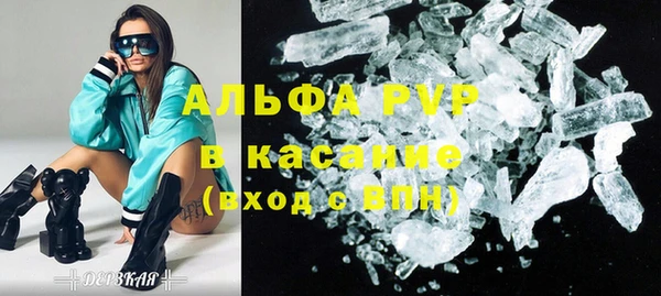 амф Бородино