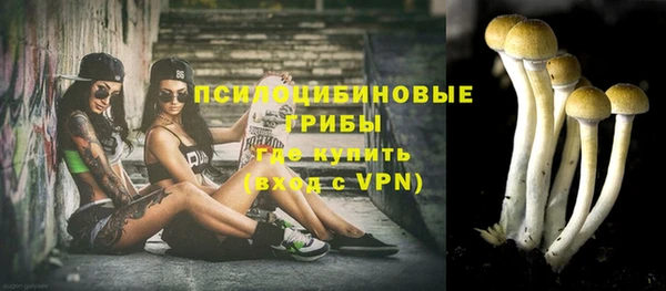 дурь Богданович