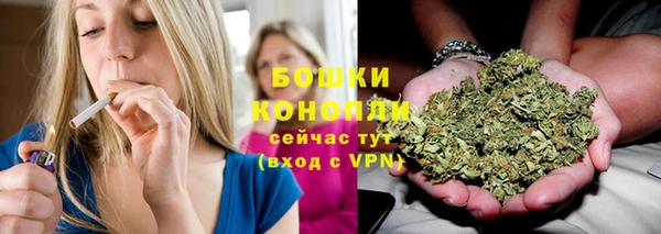 дурь Богданович