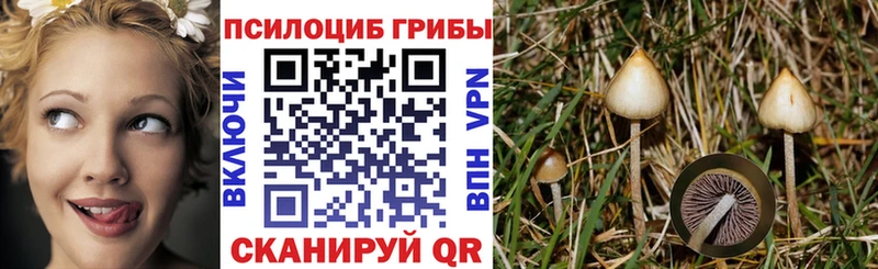 Галлюциногенные грибы ЛСД  Барнаул 